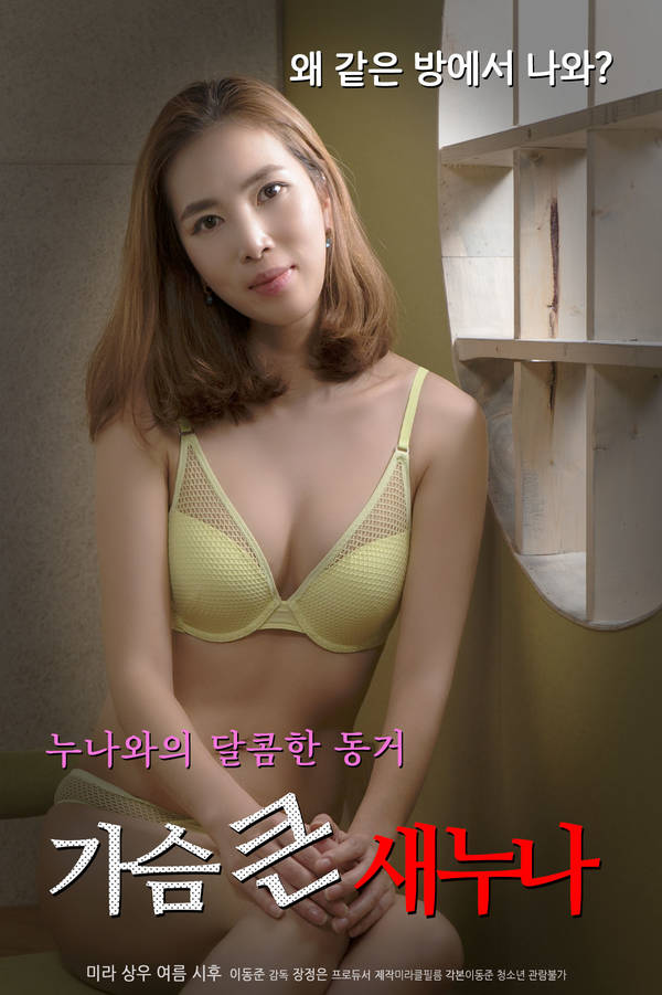 18+ Big Tits Older Sister 2020 Korean Movie 720p HDRip 450MB