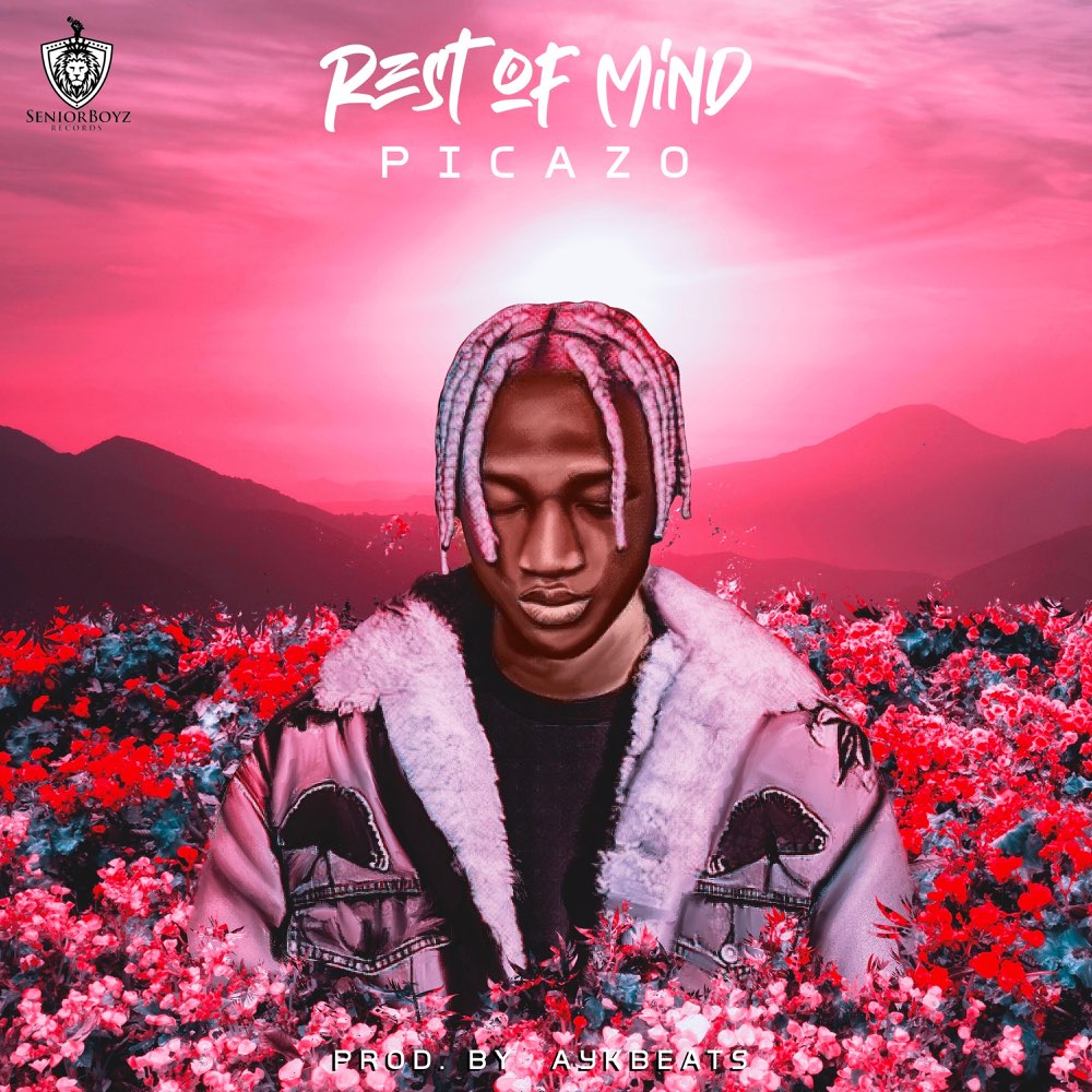 Picazo – Rest Of Mind