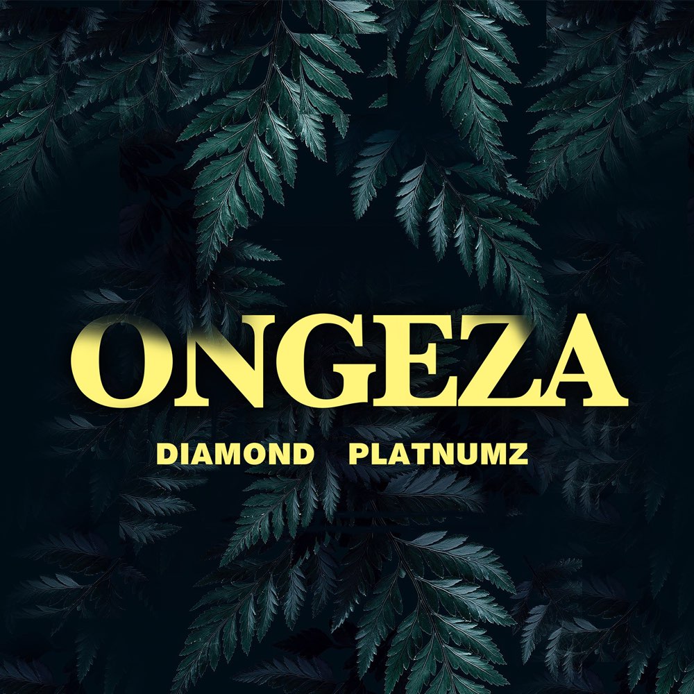 Diamond Platnumz – Ongeza