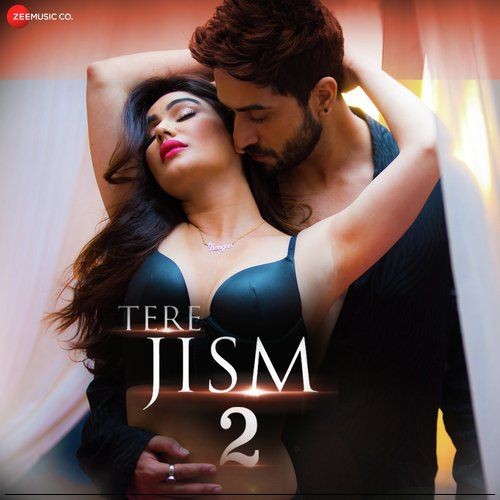 18+ Tere Jism 2 Official Music Video By Altaaf Sayyed 720p HDRip 27MB Download